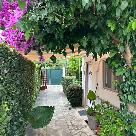 Luxury Zola Διαμέρισμα