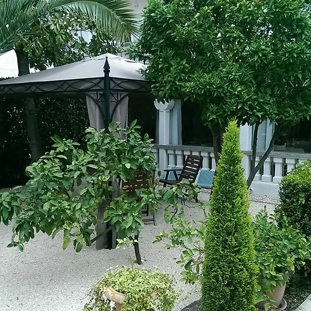 Апартаменти Luxury Zola *