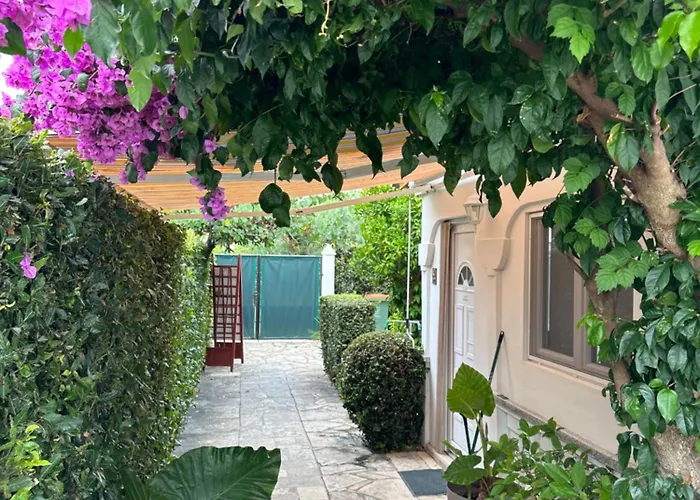 Luxury Zola דירה